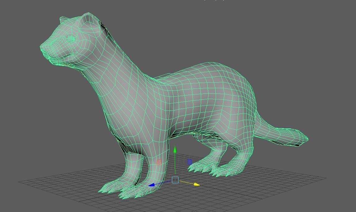 Black-footed ferret Low-poly 3D model_3