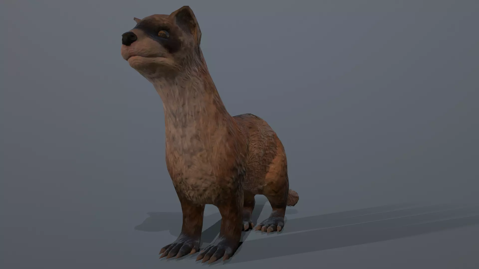 Black-footed ferret Low-poly 3D model_0
