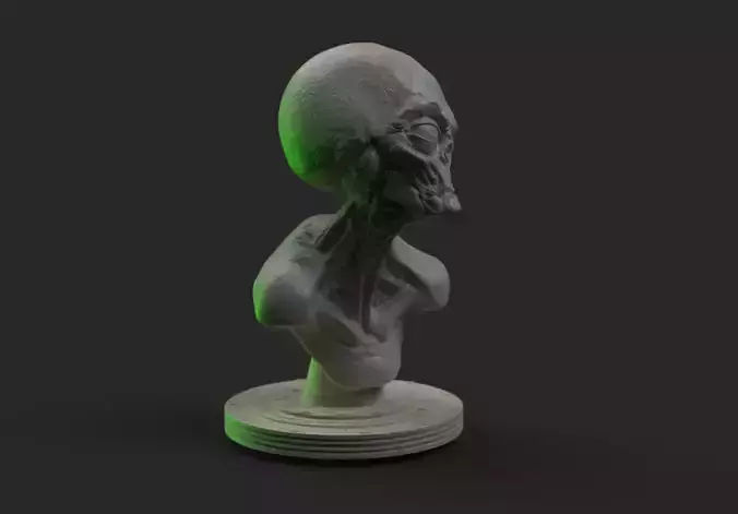Grey Alien  Bust  3D print model