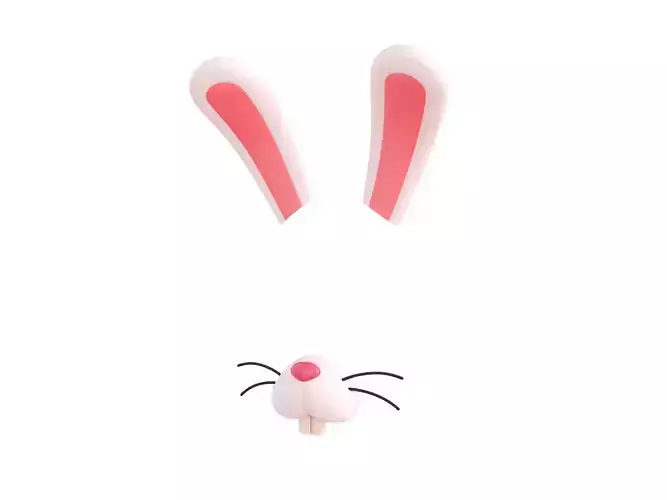 Rabbit Face 3D model