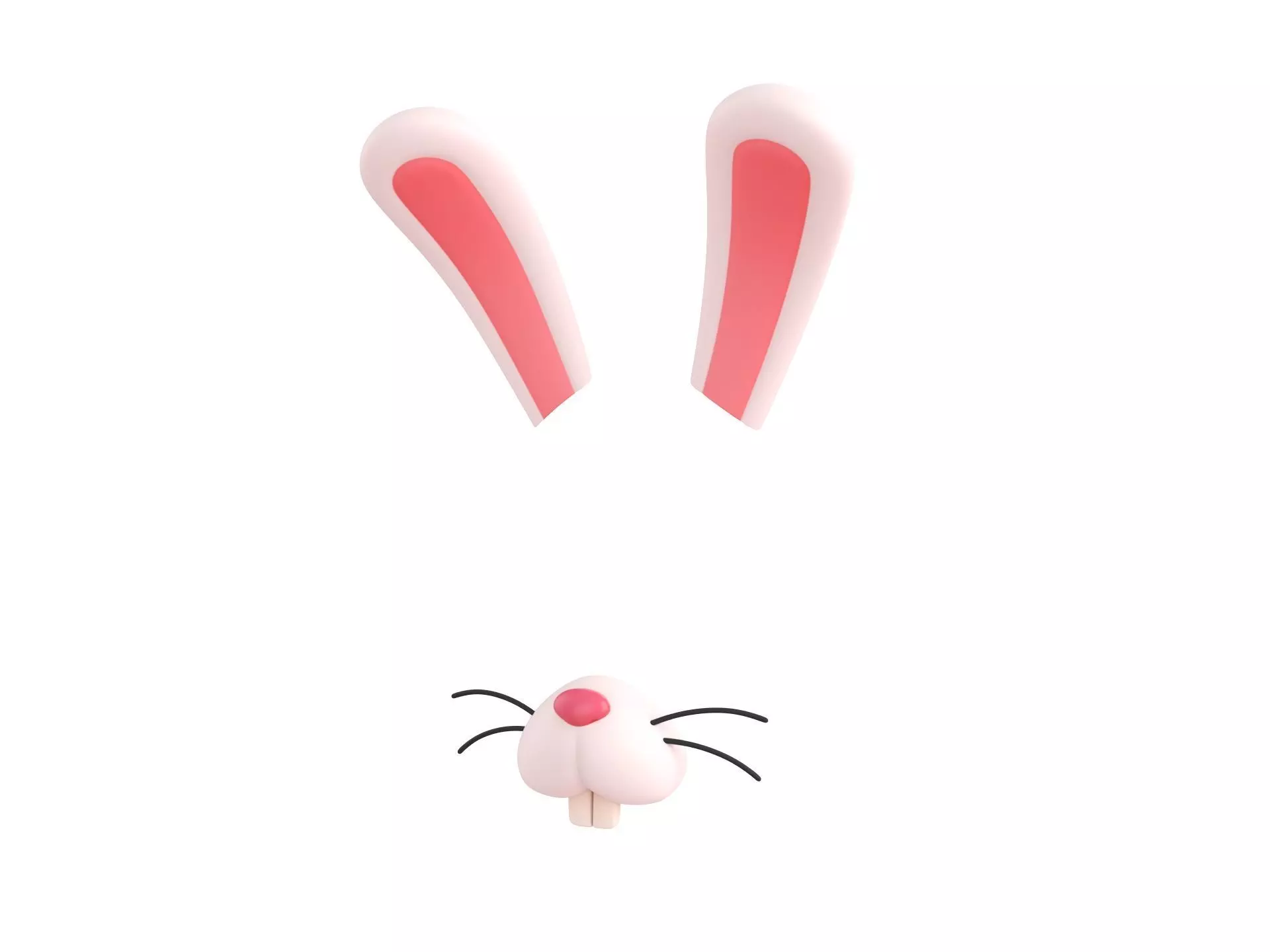 Rabbit Face 3D model