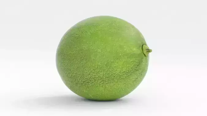 Lime fruit 3D model
