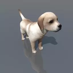 Labrador dog Free 3D model_0