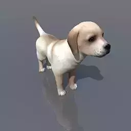 Labrador dog Free 3D model