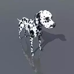 Dalmatian dog Free 3D model