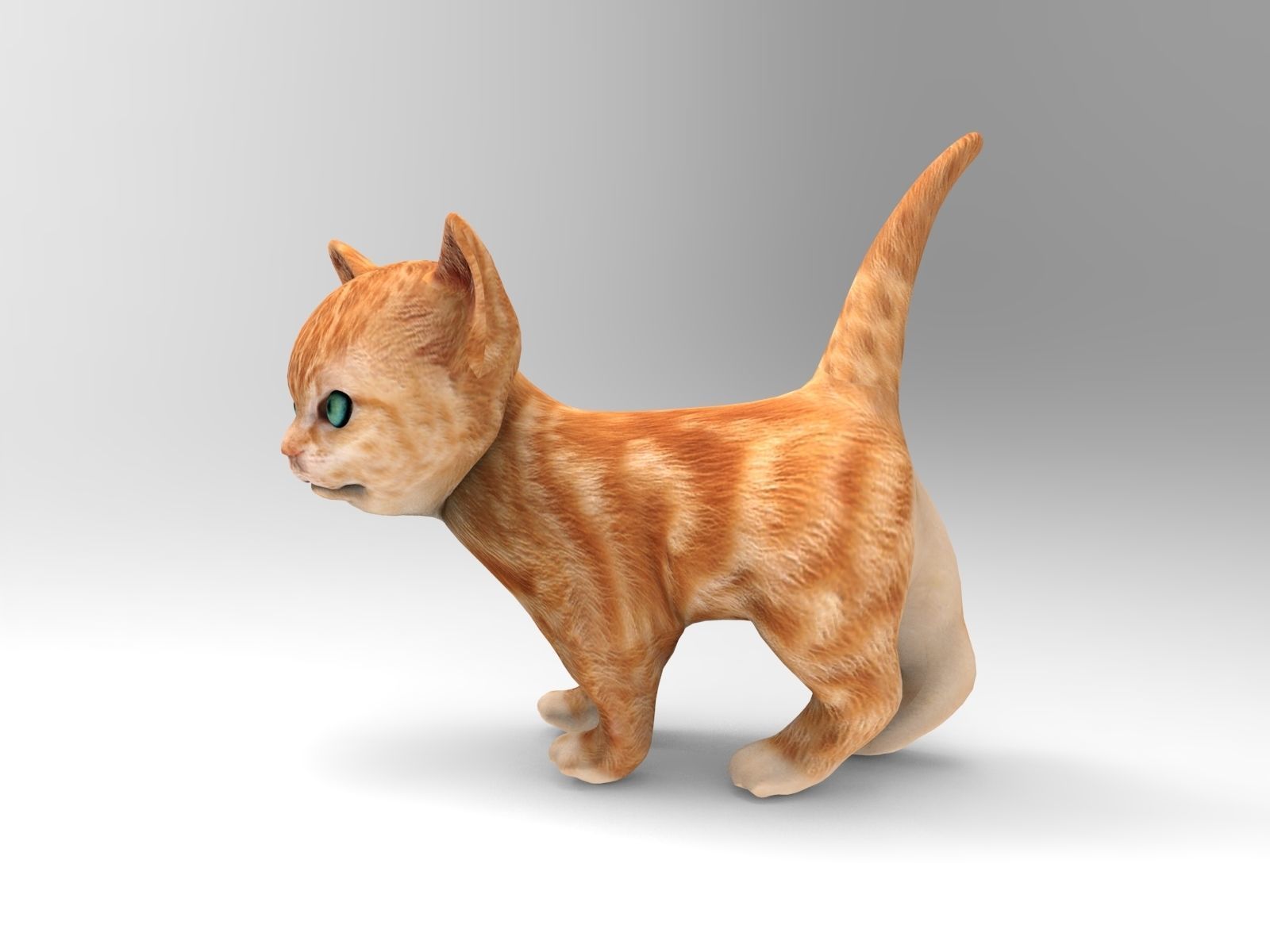 Cartoon Cat Animated Low-poly 3D model_8