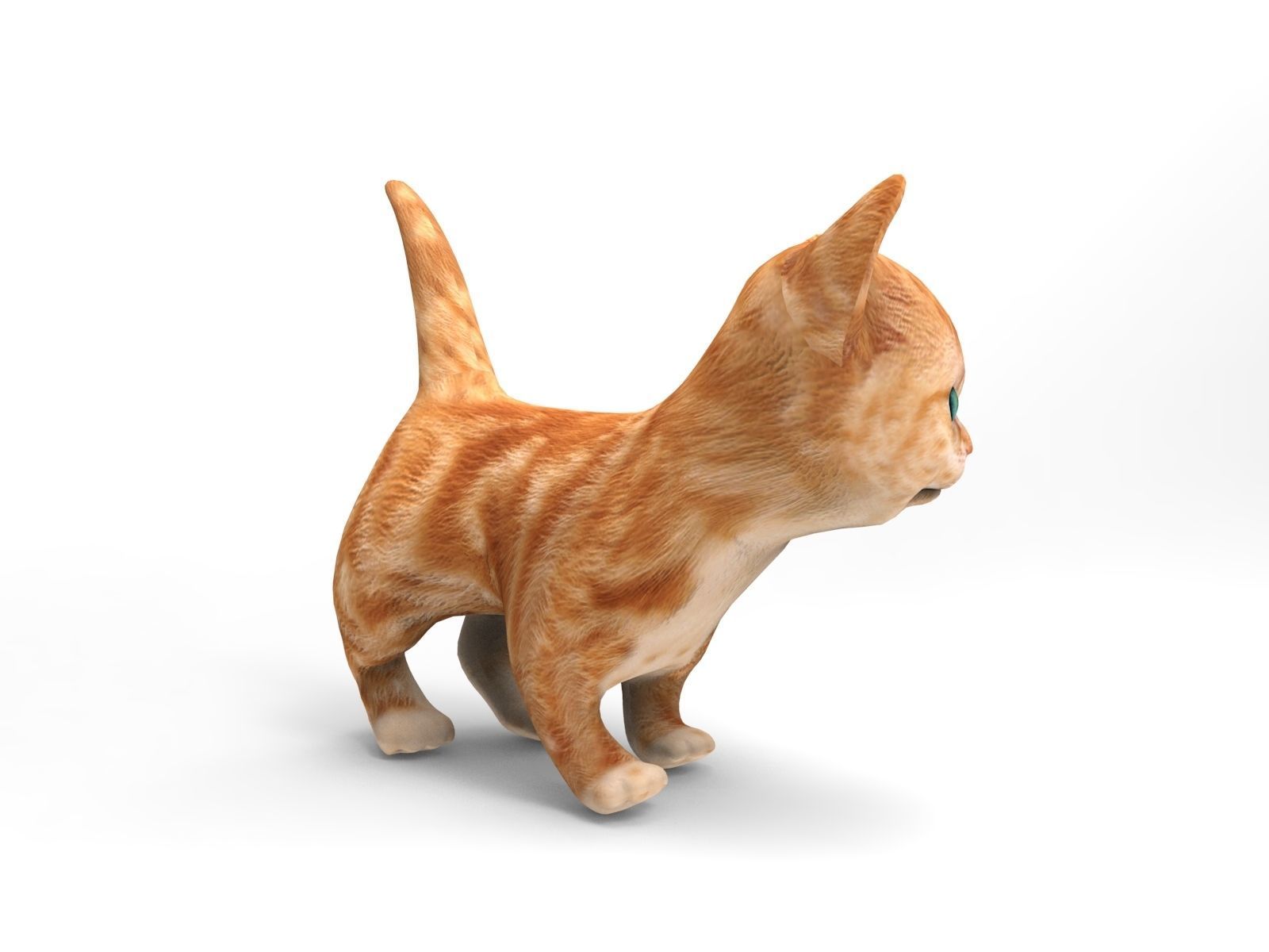 Cartoon Cat Animated Low-poly 3D model_7