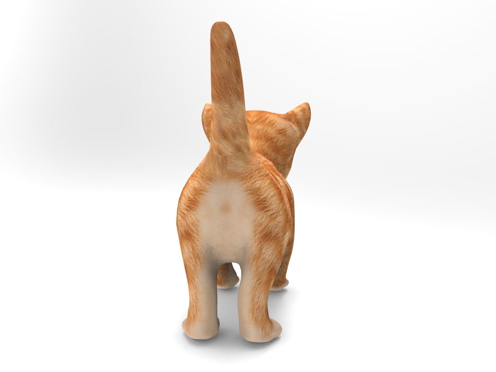 Cartoon Cat Animated Low-poly 3D model_4