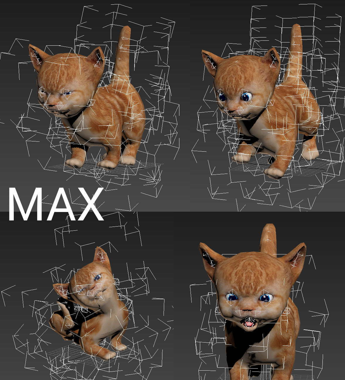 Cartoon Cat Animated Low-poly 3D model_11