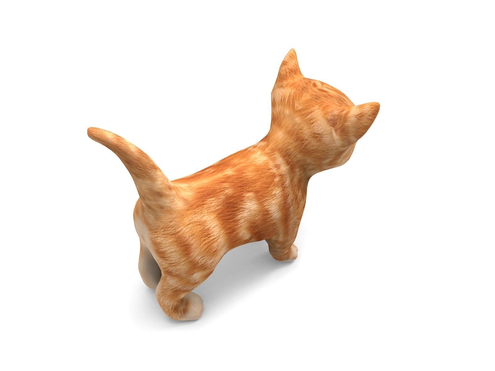 Cartoon Cat Animated Low-poly 3D model_5