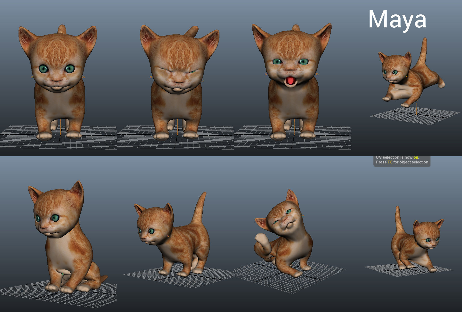 Cartoon Cat Animated Low-poly 3D model_10