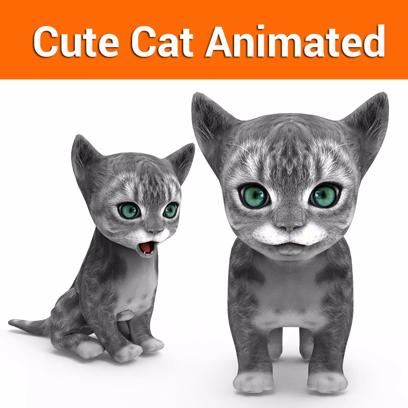 cute cat gray animated 3D model Low-poly 3D model_0