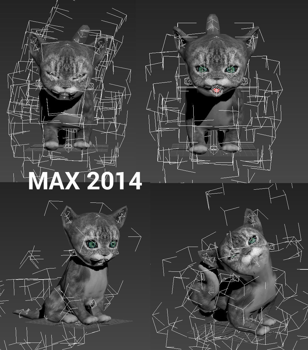 cute cat gray animated 3D model Low-poly 3D model_14