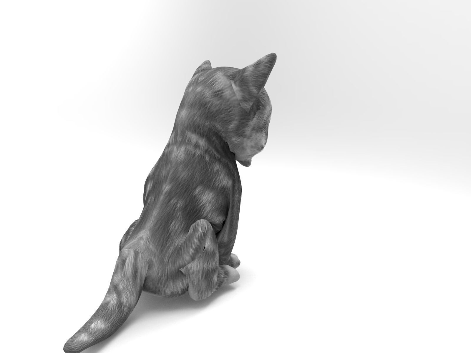 cute cat gray animated 3D model Low-poly 3D model_3