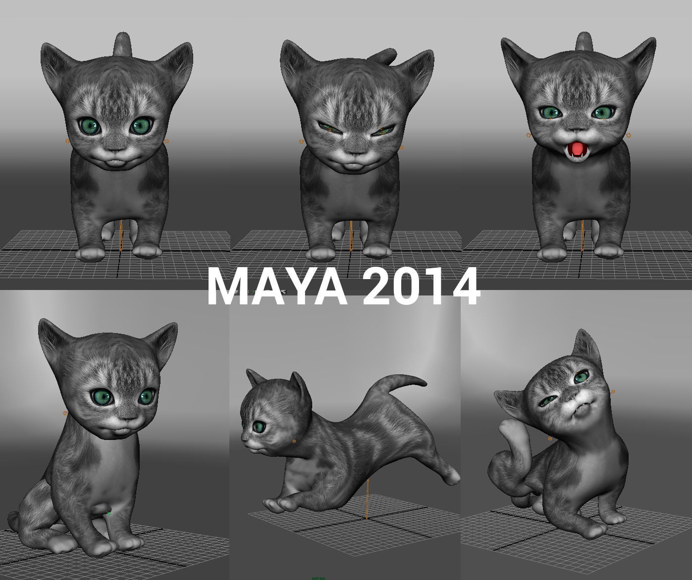 cute cat gray animated 3D model Low-poly 3D model_13