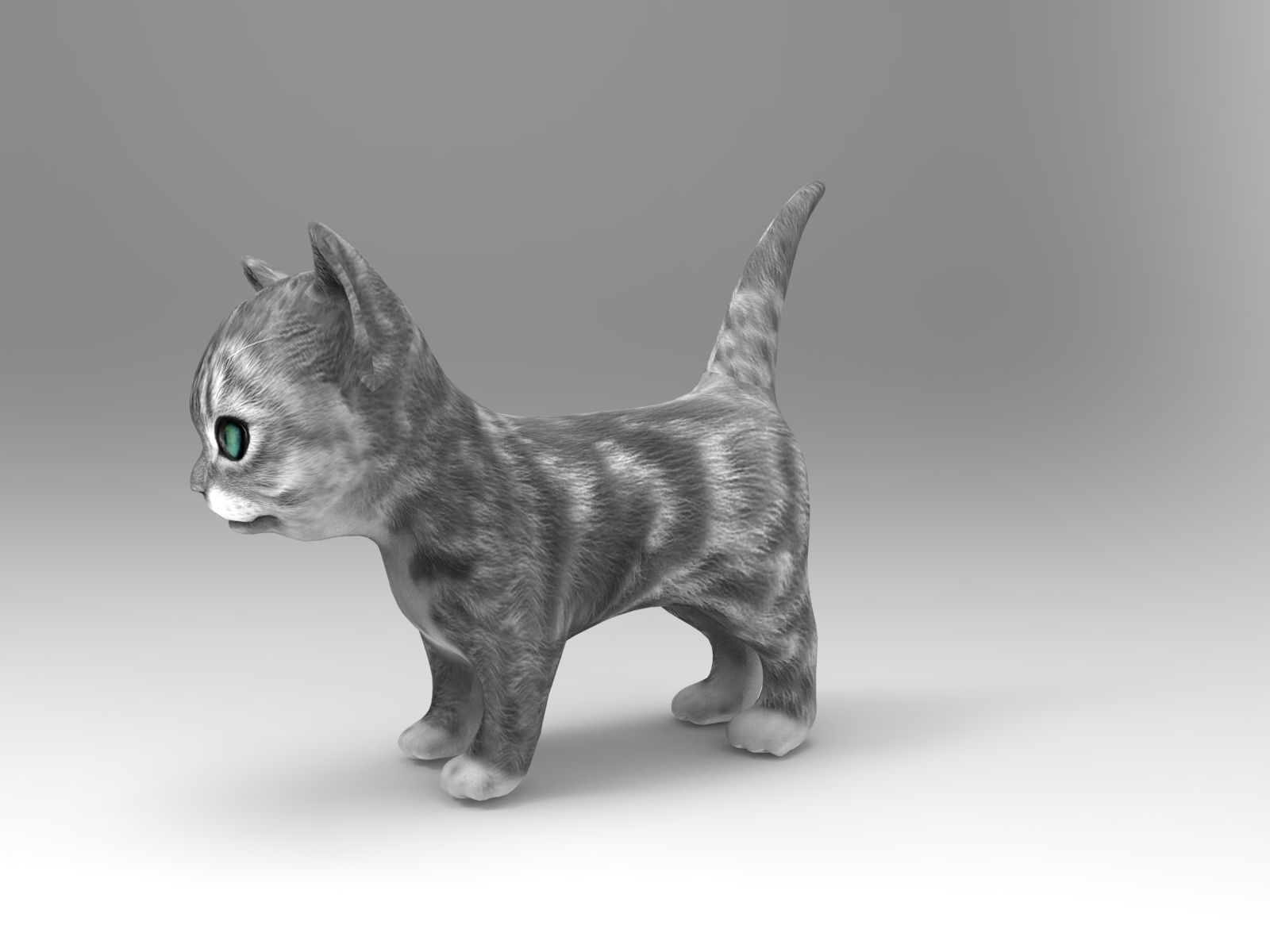 cute cat gray animated 3D model Low-poly 3D model_9