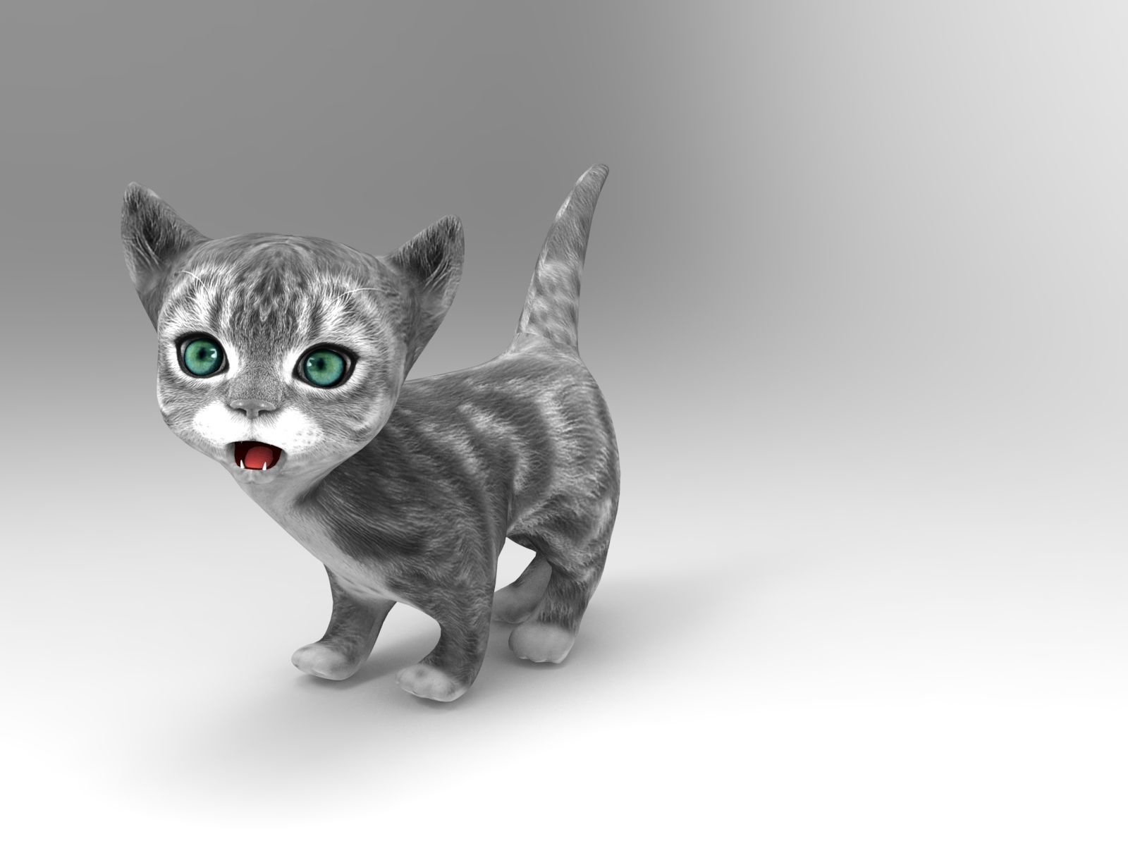 cute cat gray animated 3D model Low-poly 3D model_5