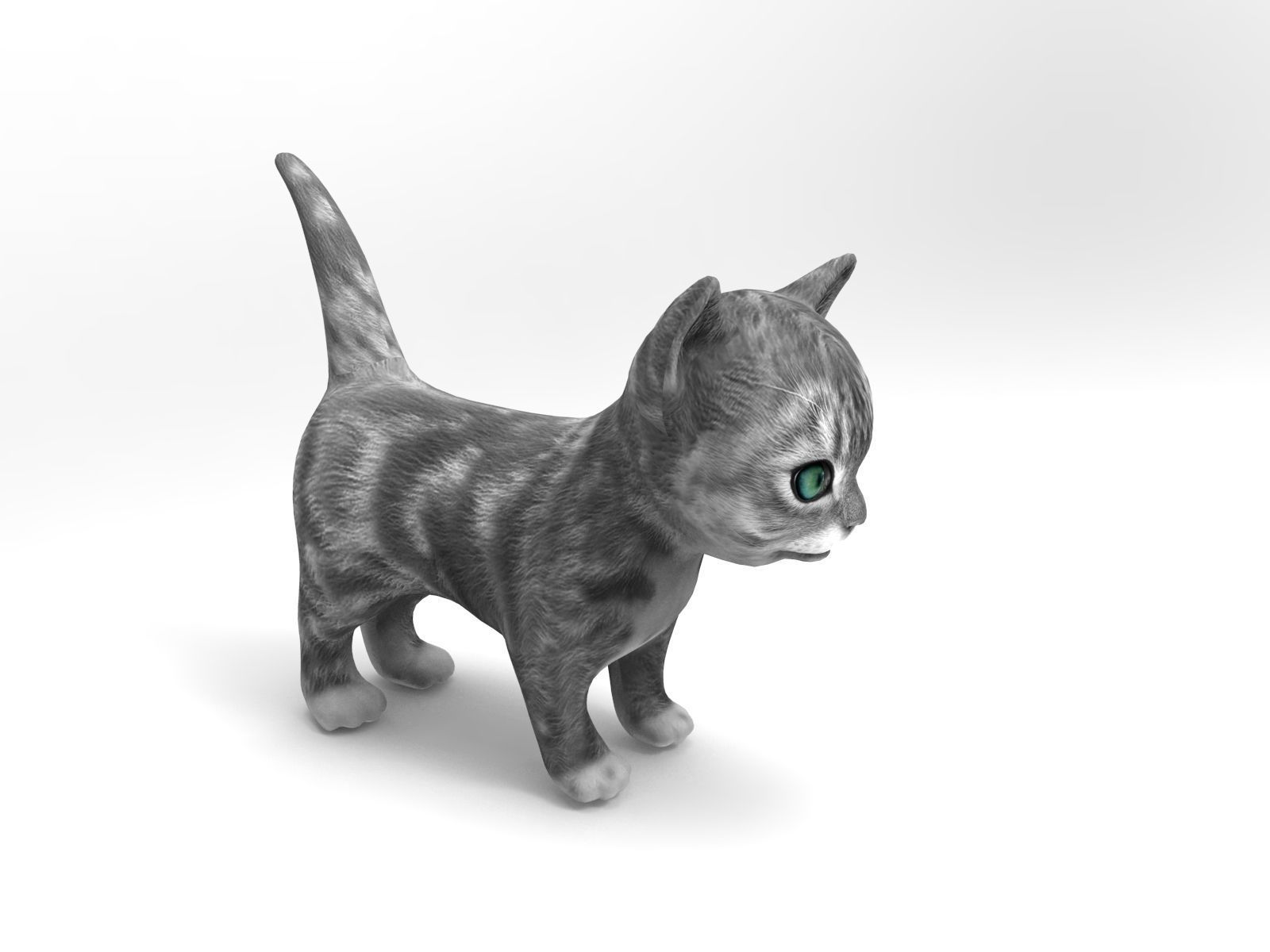 cute cat gray animated 3D model Low-poly 3D model_10