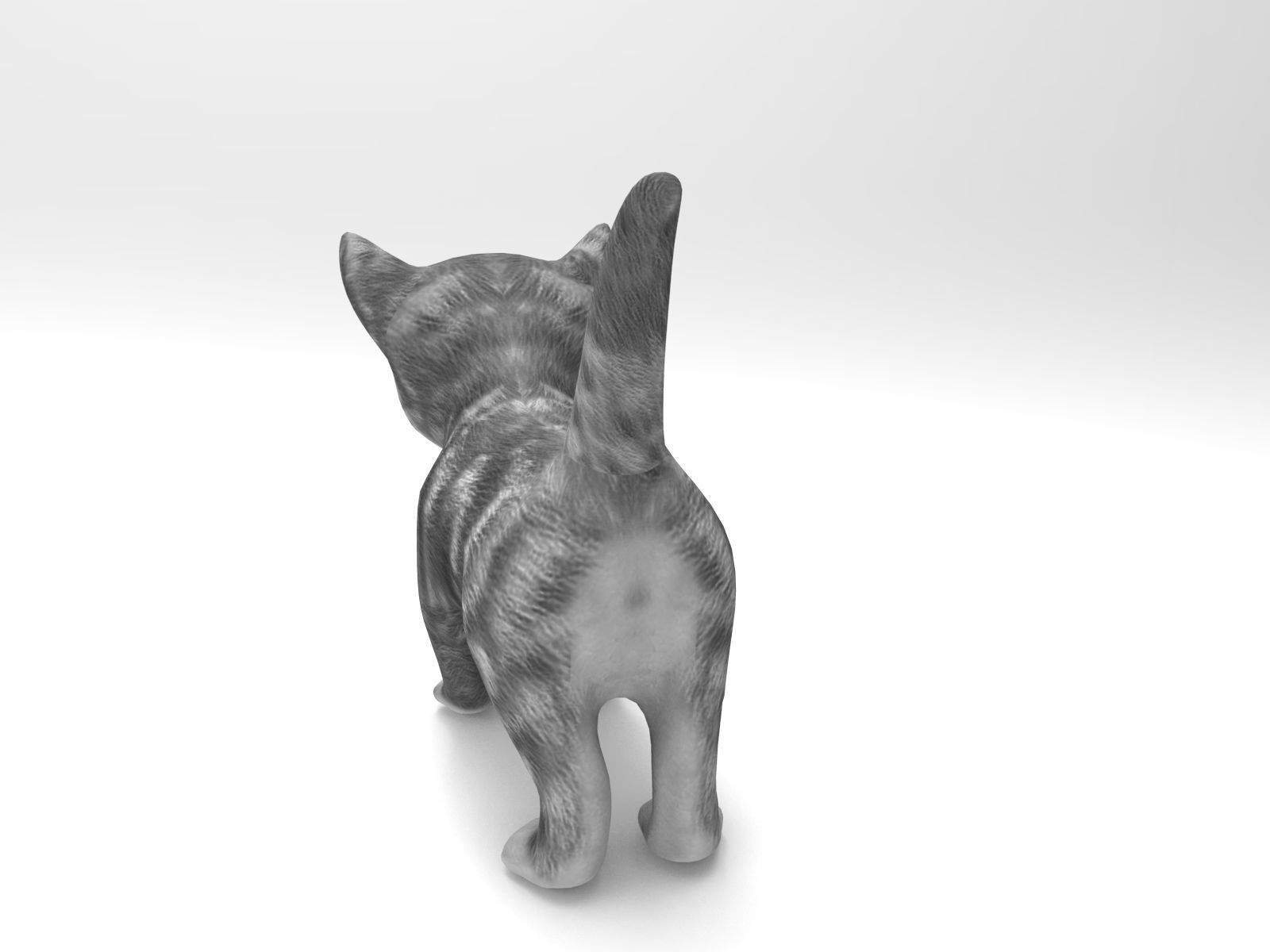 cute cat gray animated 3D model Low-poly 3D model_12