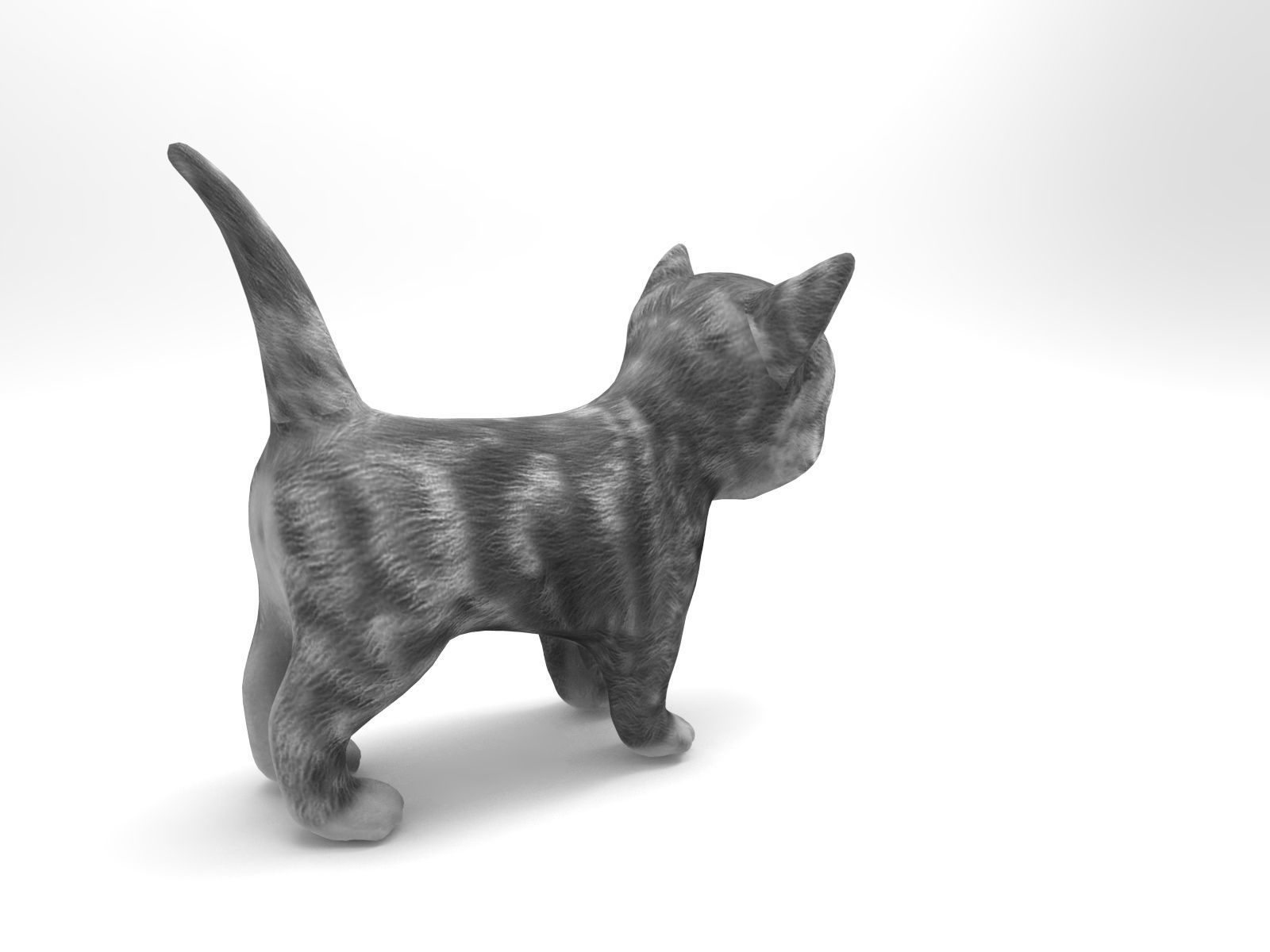 cute cat gray animated 3D model Low-poly 3D model_11