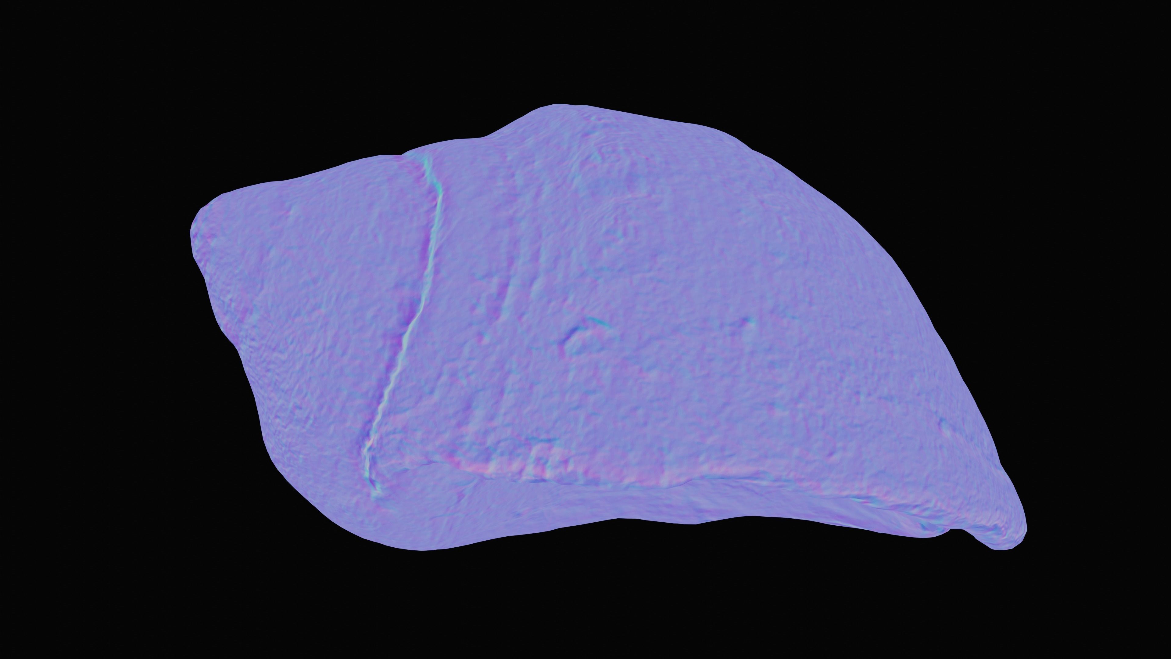 Tulip Sea Shell Low-poly 3D model_31