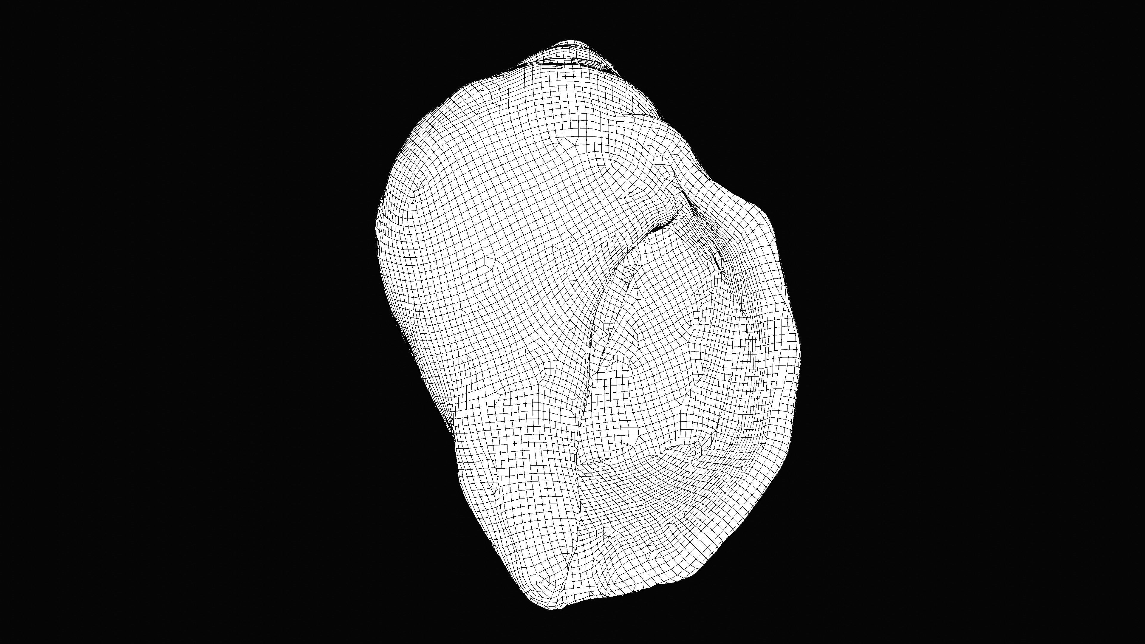 Tulip Sea Shell Low-poly 3D model_20