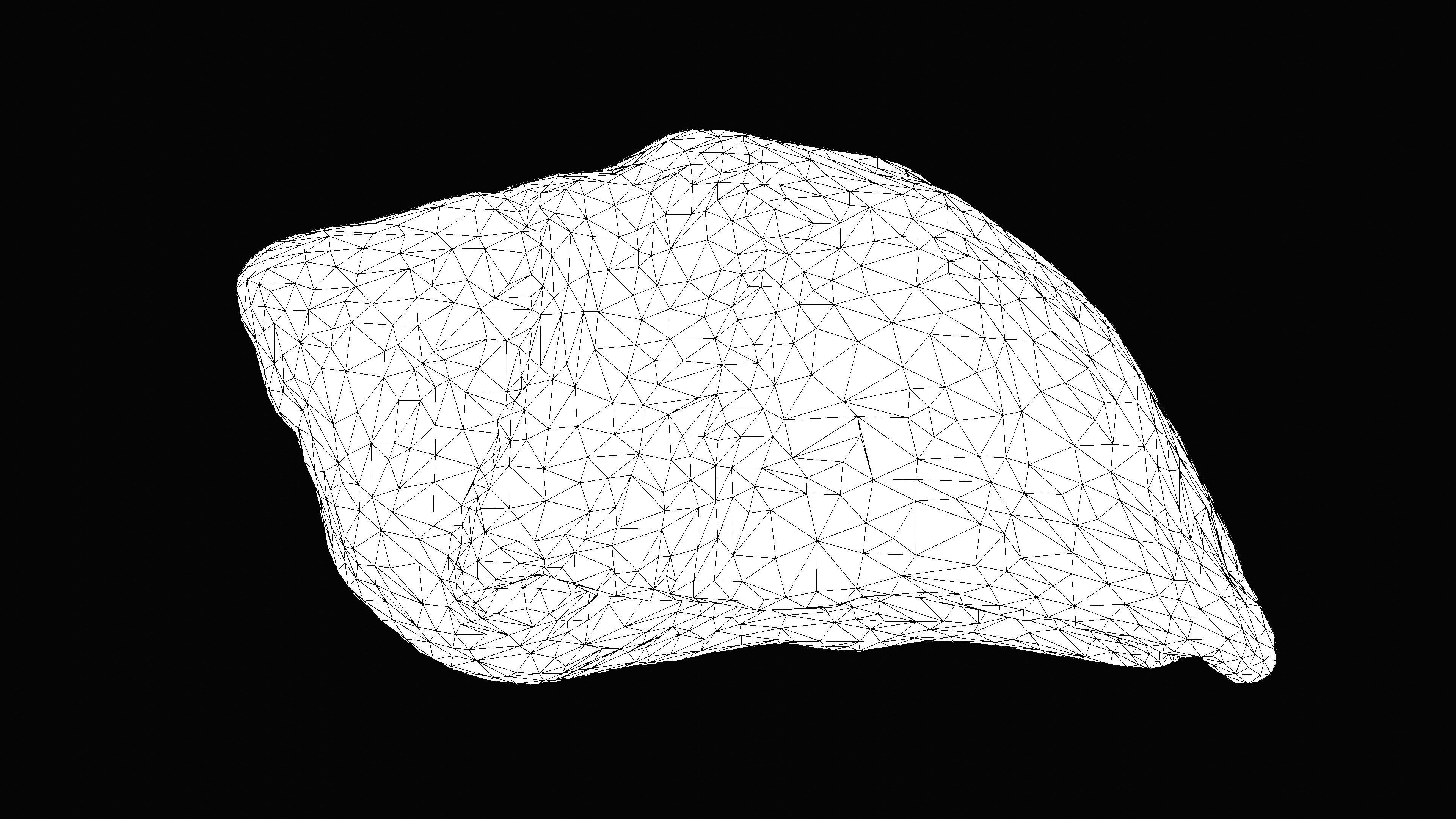 Tulip Sea Shell Low-poly 3D model_15