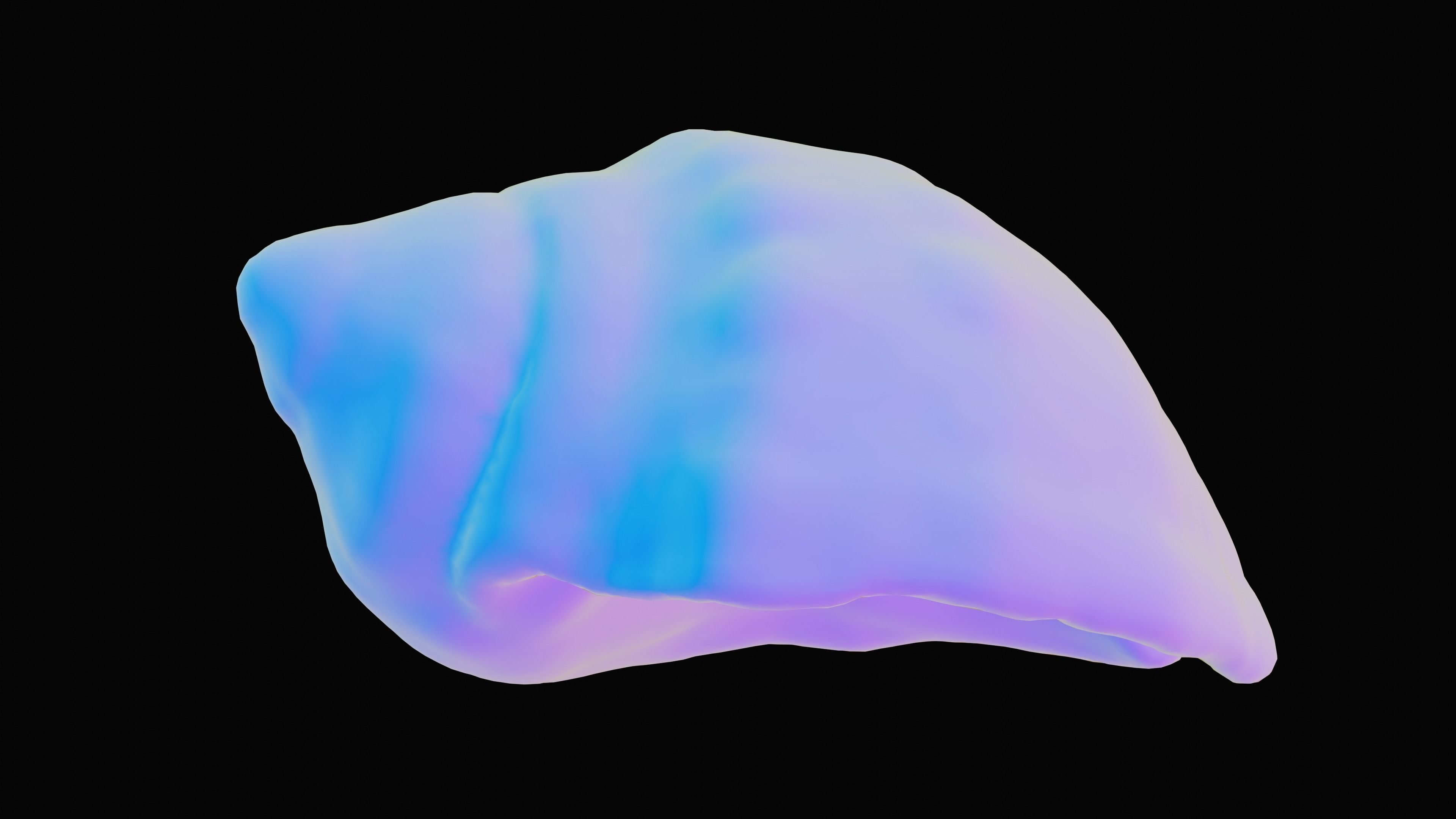 Tulip Sea Shell Low-poly 3D model_29