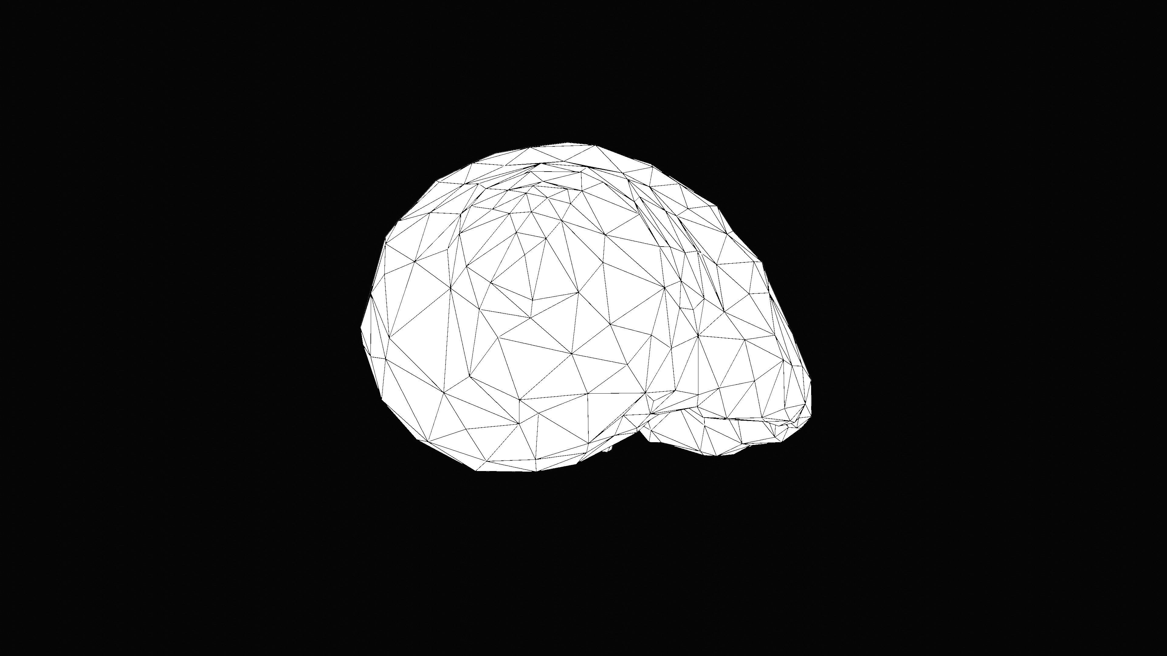 Tulip Sea Shell Low-poly 3D model_17