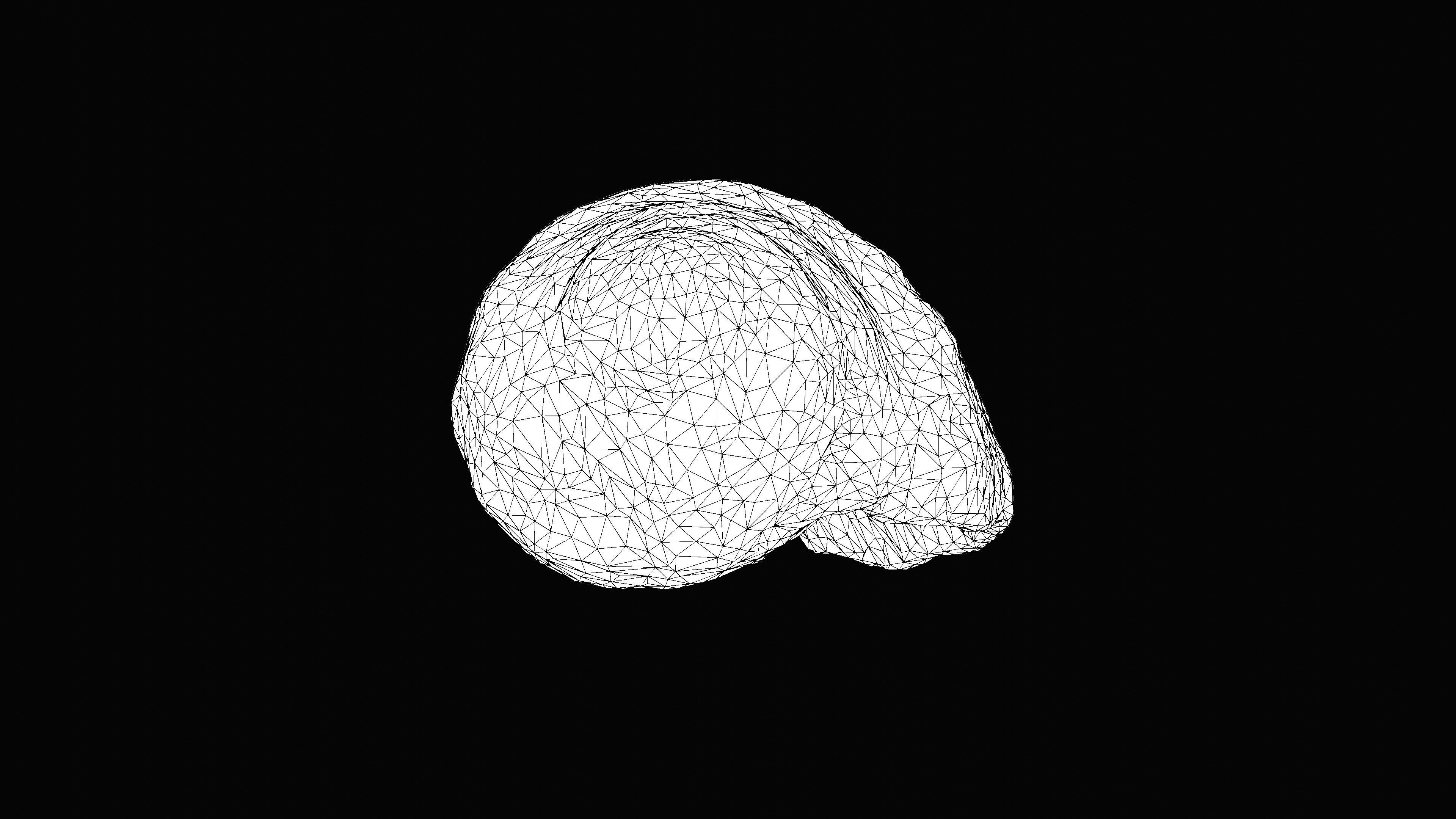 Tulip Sea Shell Low-poly 3D model_19