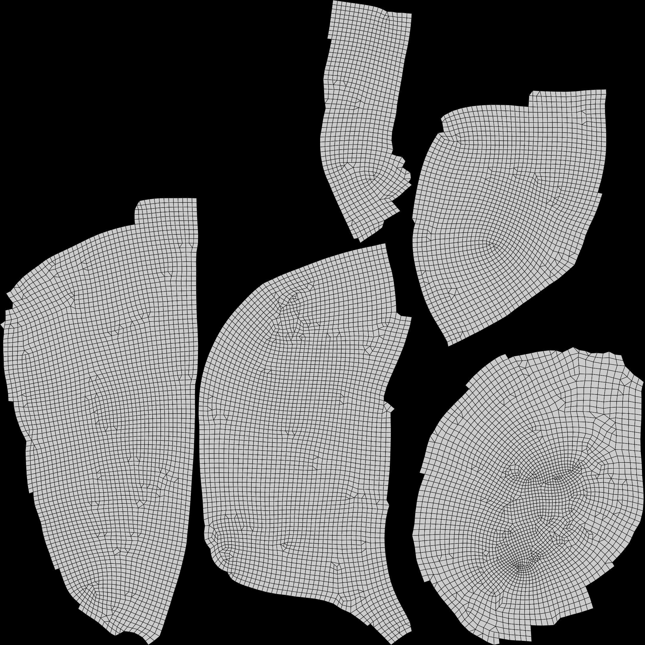 Tulip Sea Shell Low-poly 3D model_12