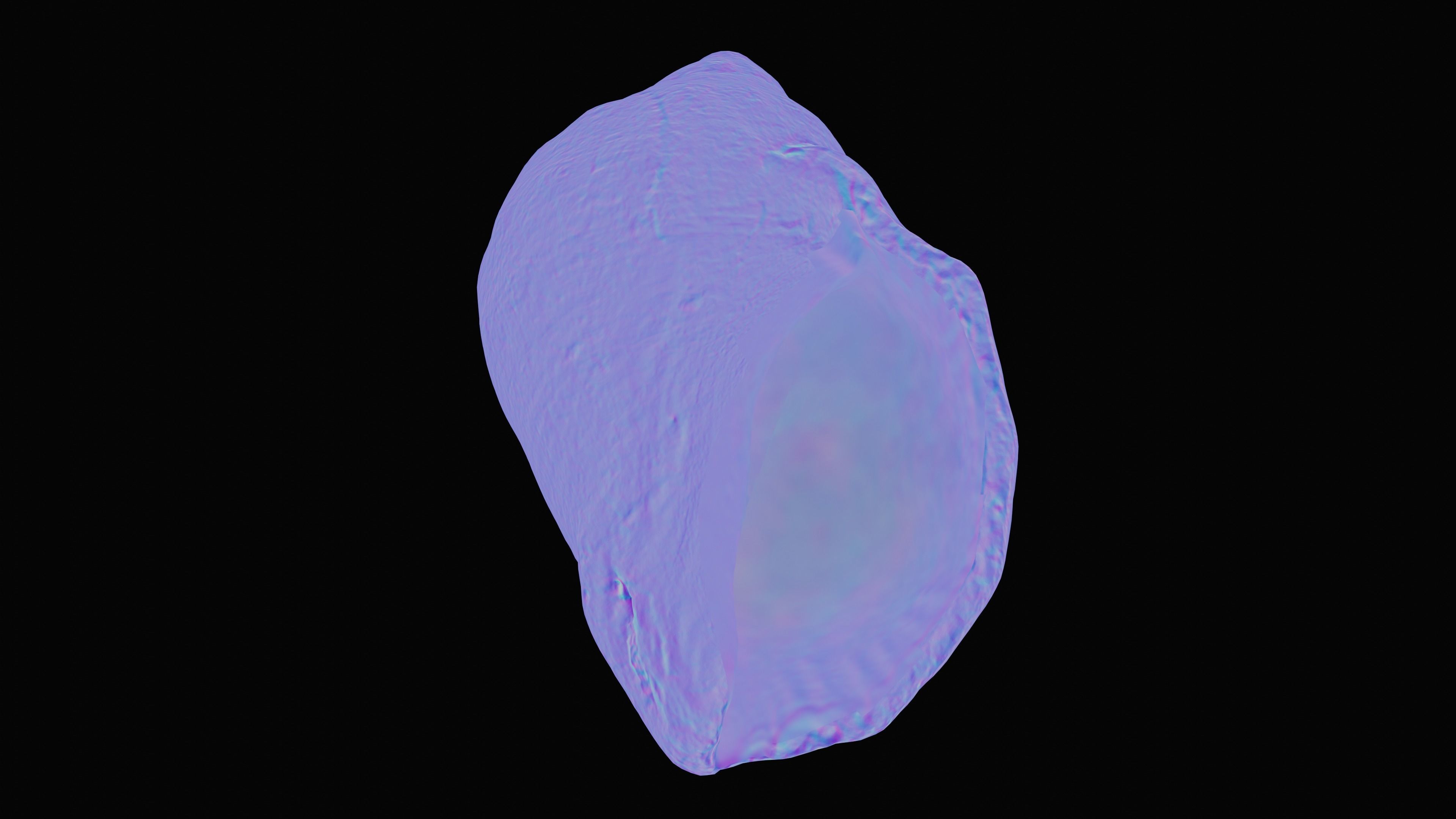 Tulip Sea Shell Low-poly 3D model_30