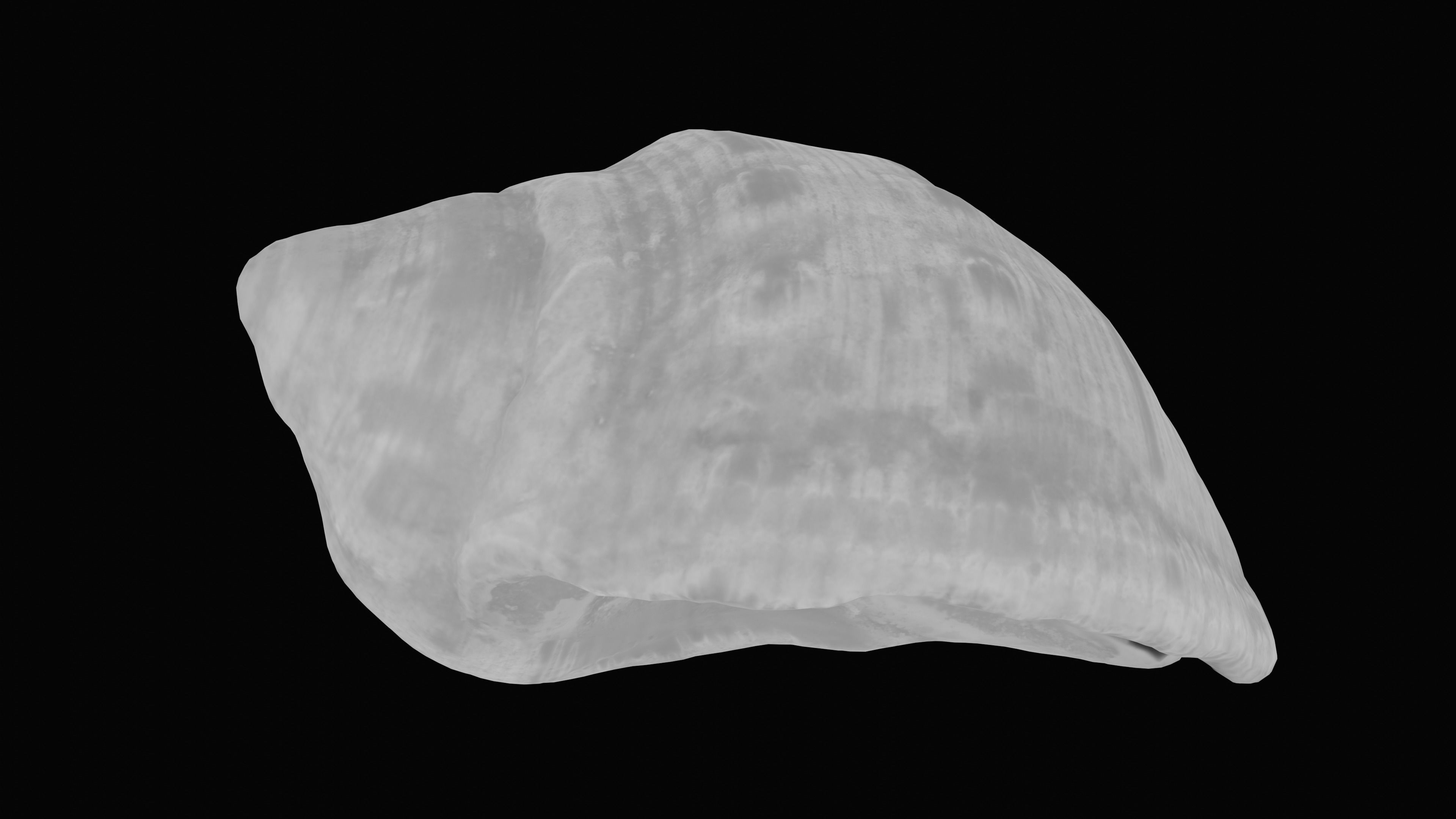 Tulip Sea Shell Low-poly 3D model_21