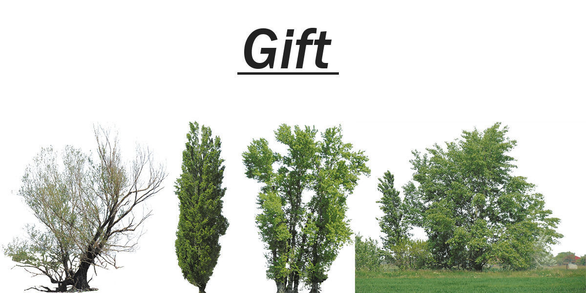 Green Trees  and Gift 3D model_15