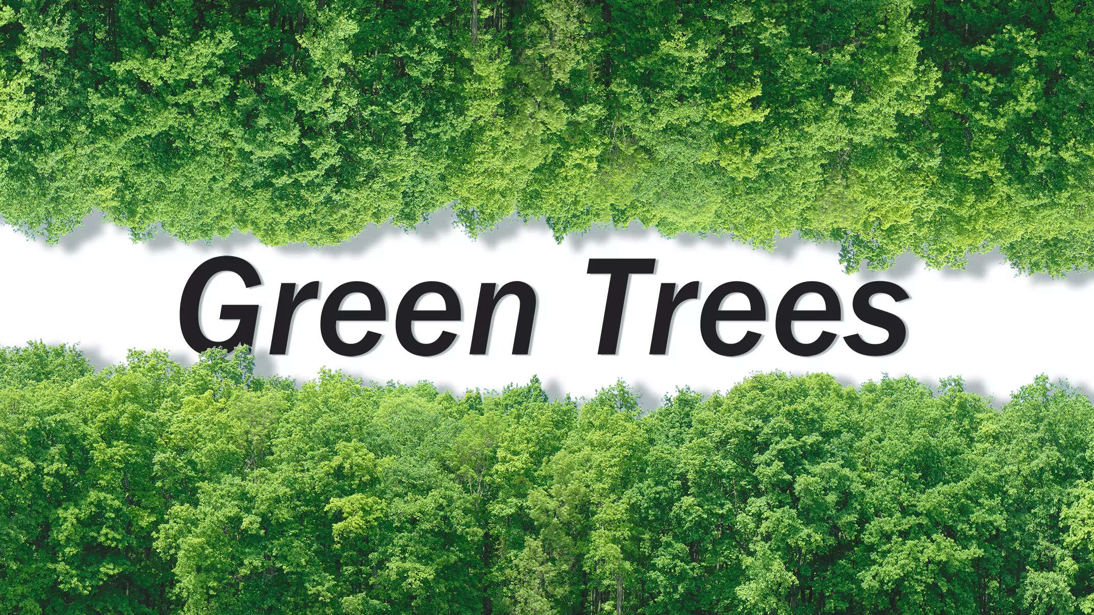 Green Trees  and Gift 3D model_0