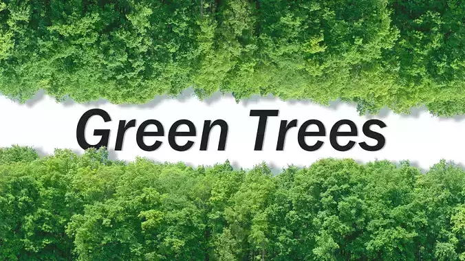 Green Trees  and Gift 3D model