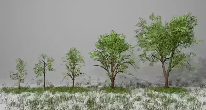 Trees group of in grass Low-poly 3D model