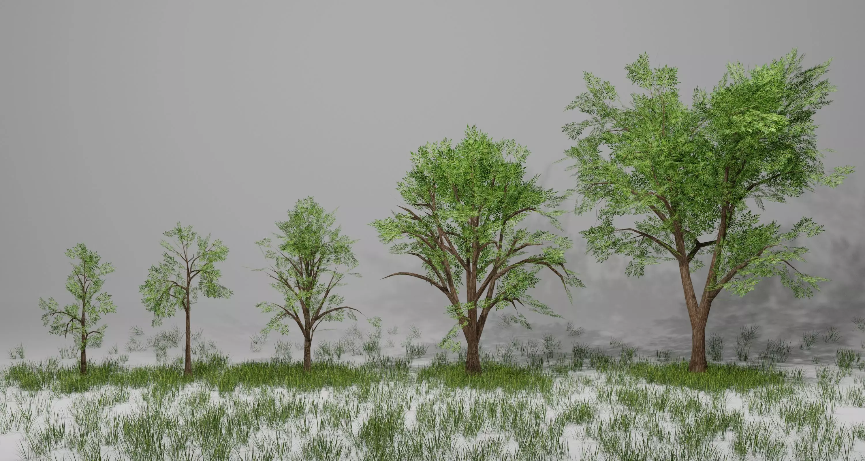 Trees group of in grass Low-poly 3D model_0