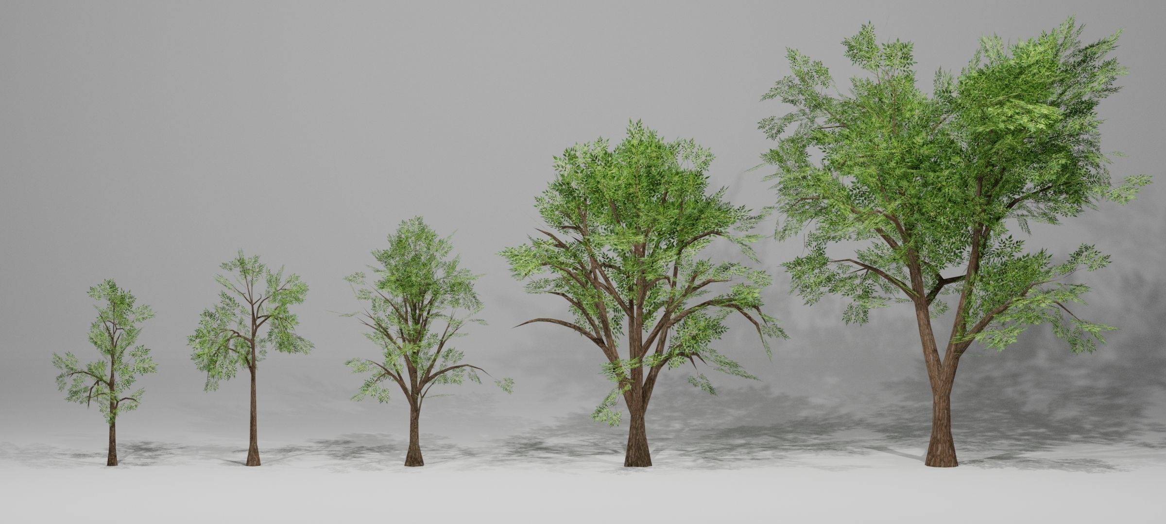 Trees group of in grass Low-poly 3D model_1