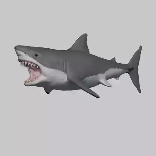 Great White Shark Stylized 3D print model