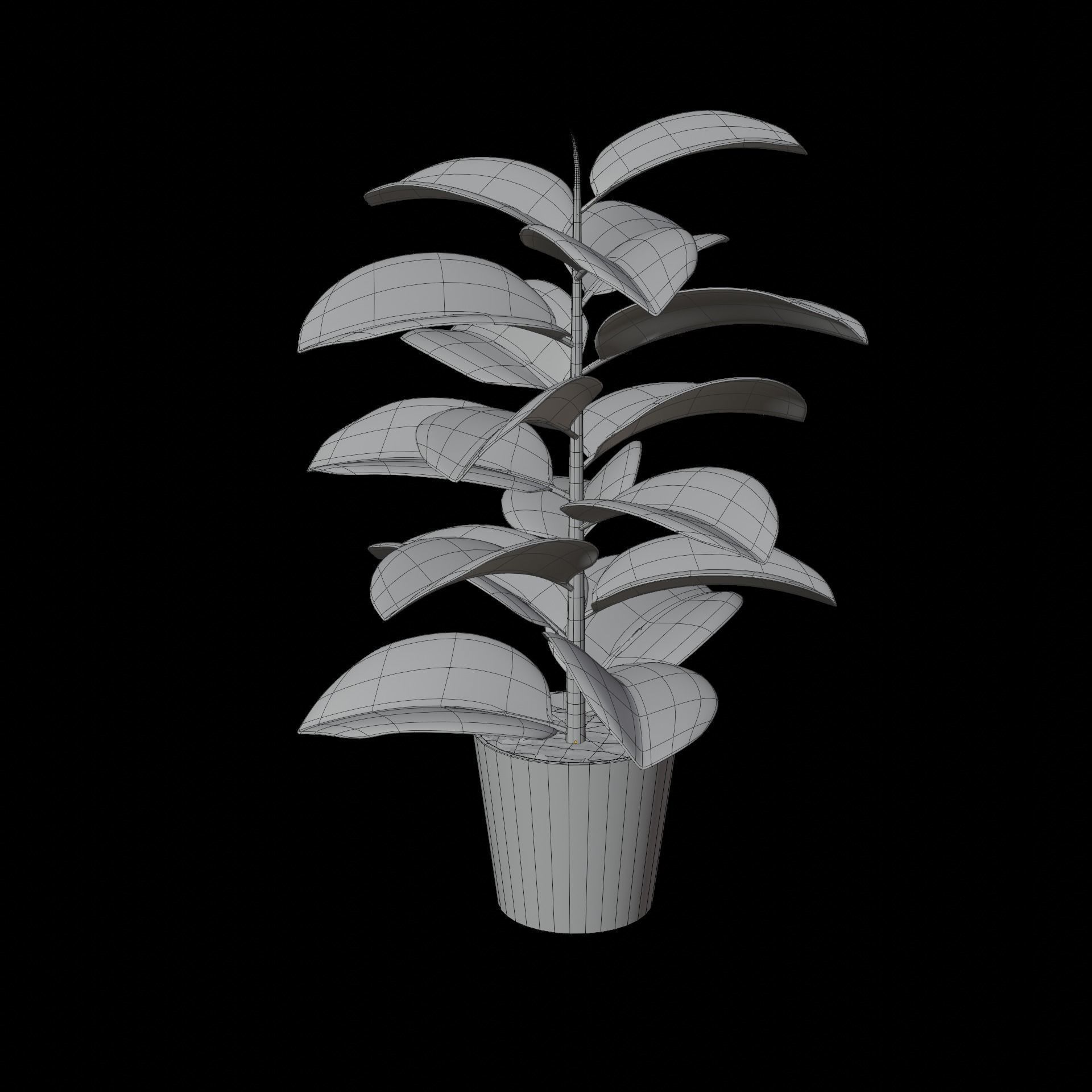 Ficus Elastica Low-poly 3D model_5