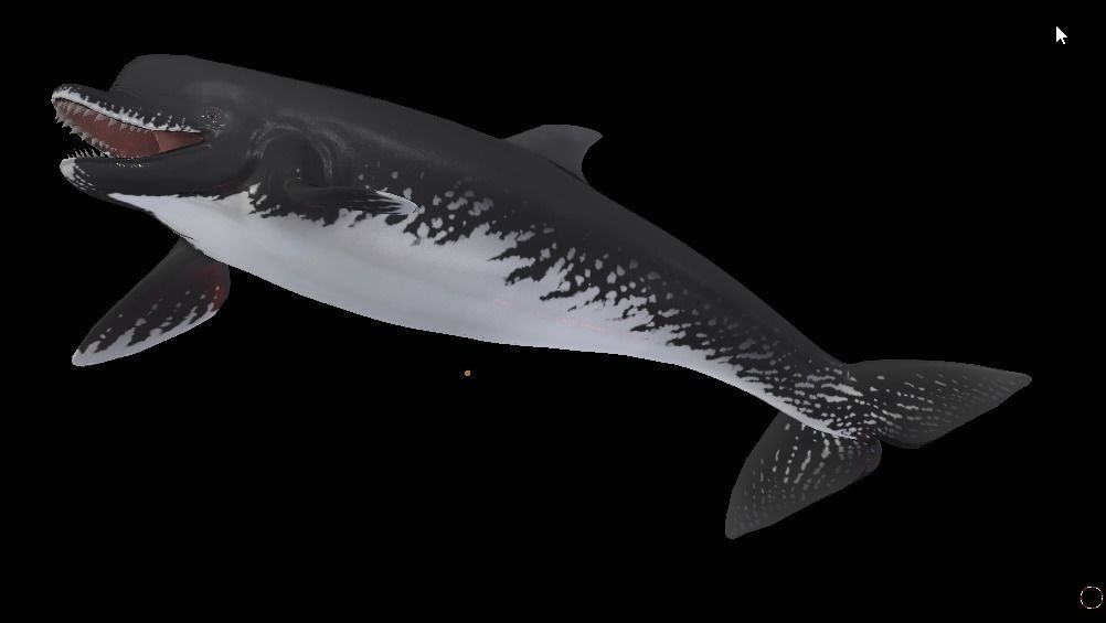Acrophyseter whale Low-poly 3D model_7