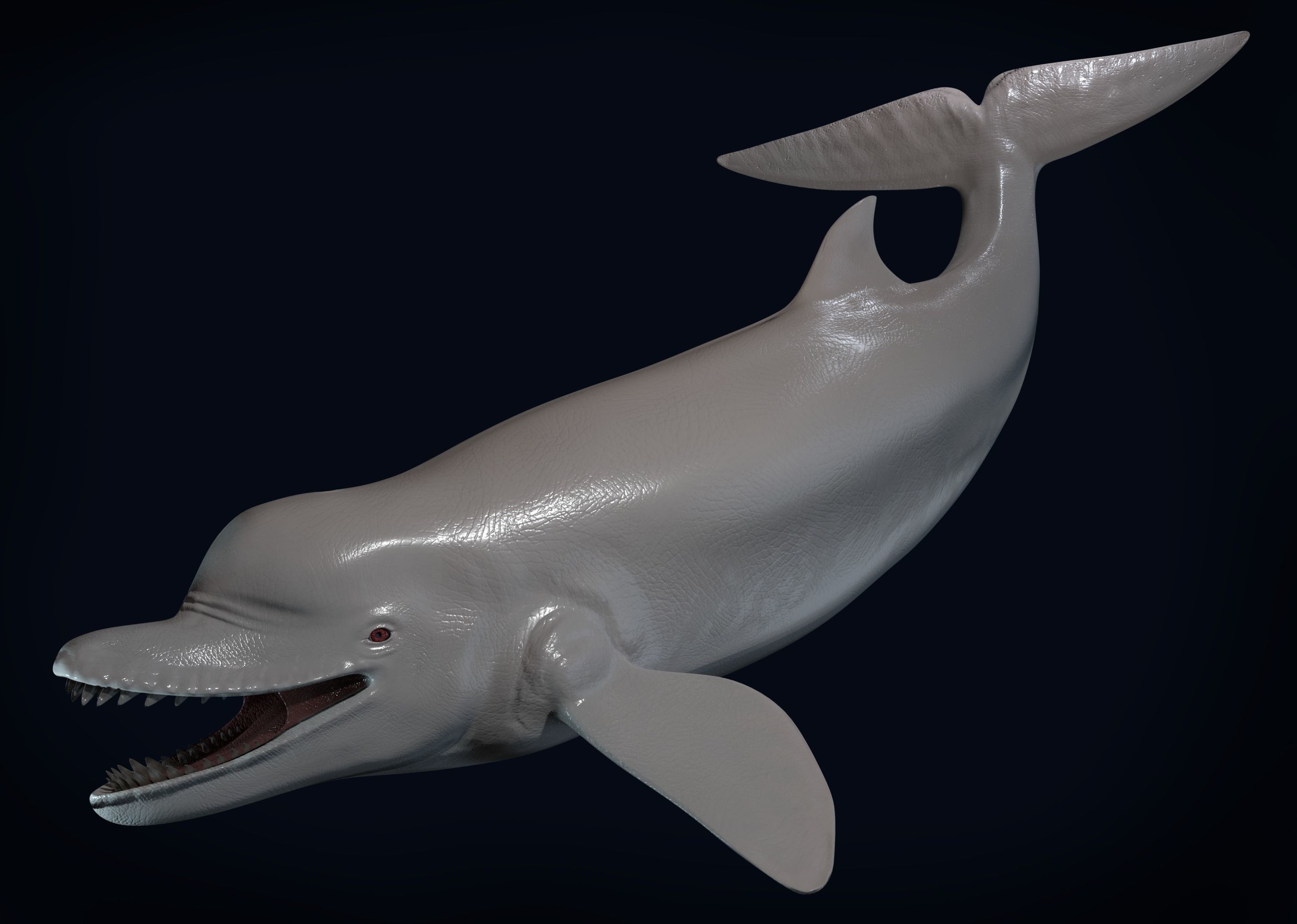 Acrophyseter whale Low-poly 3D model_3