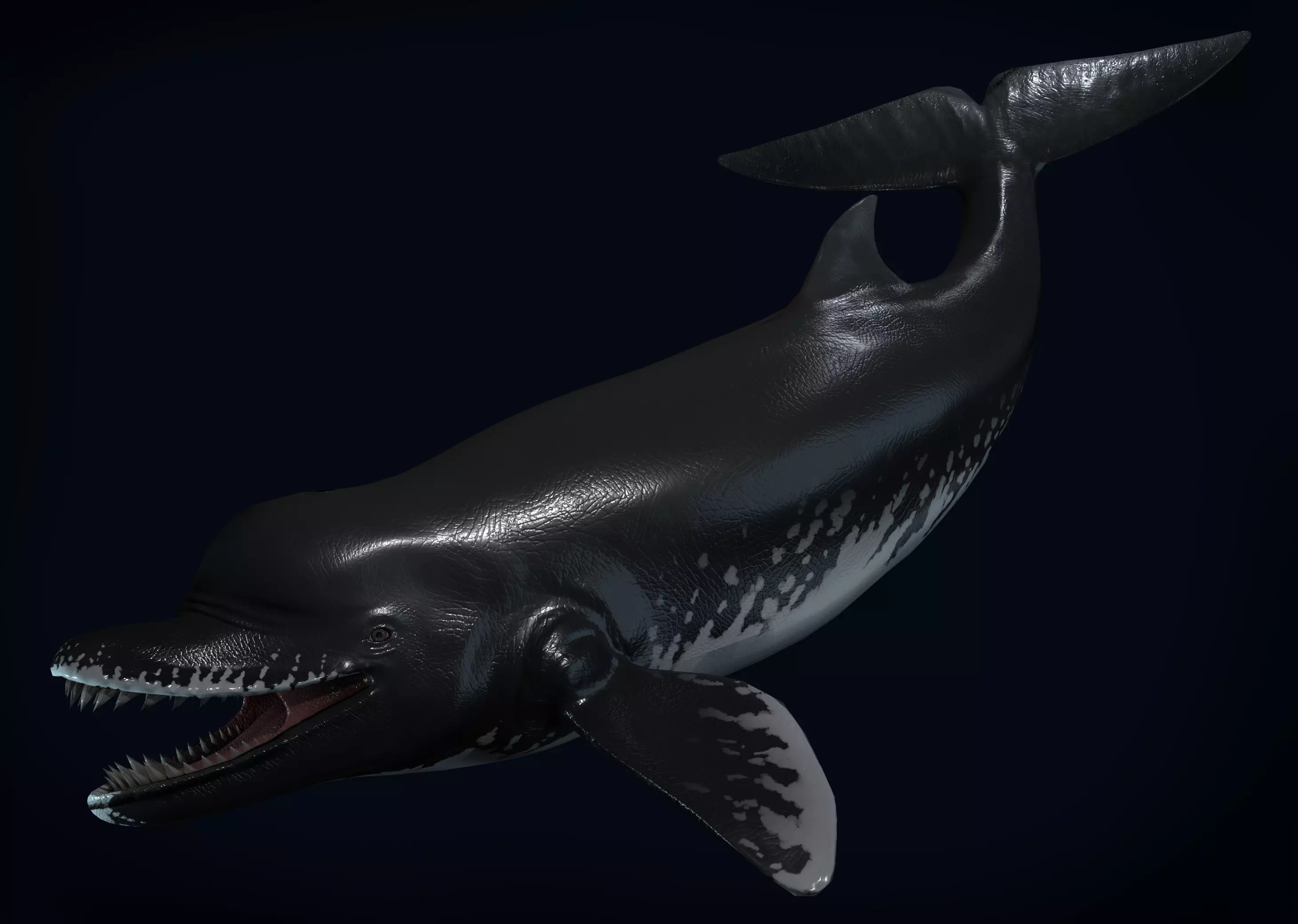 Acrophyseter whale Low-poly 3D model_0