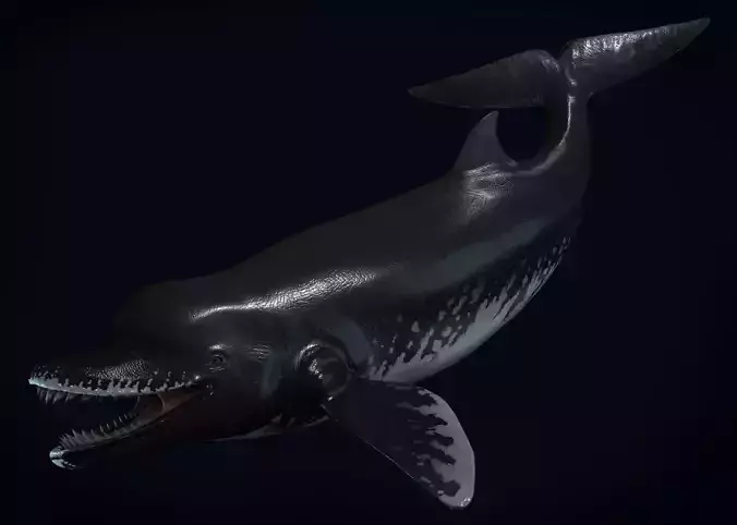 Acrophyseter whale