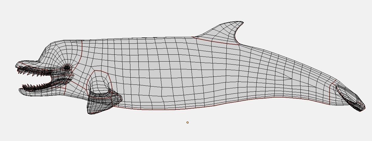 Acrophyseter whale Low-poly 3D model_13