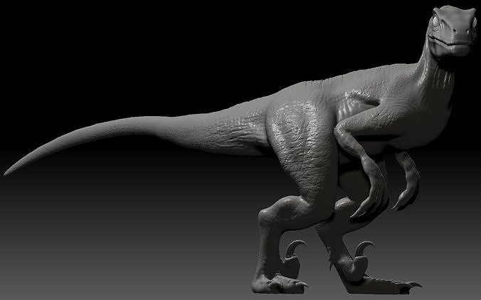 Velociraptor dinosaur 3D print model