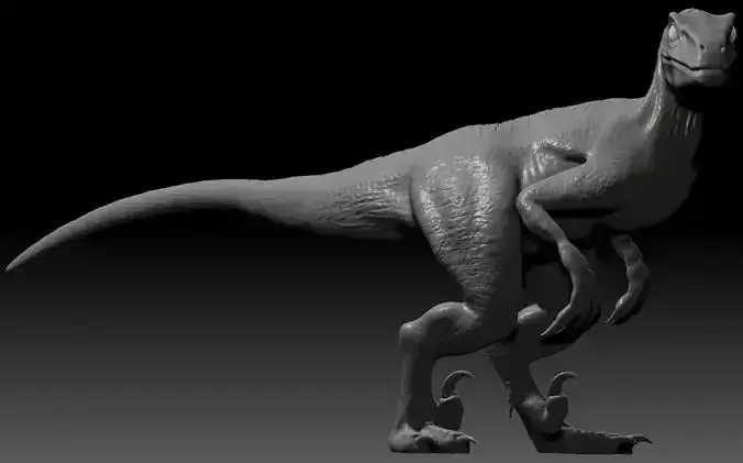 Velociraptor dinosaur 3D print model