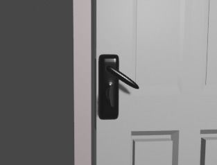 Room door 3D model_6