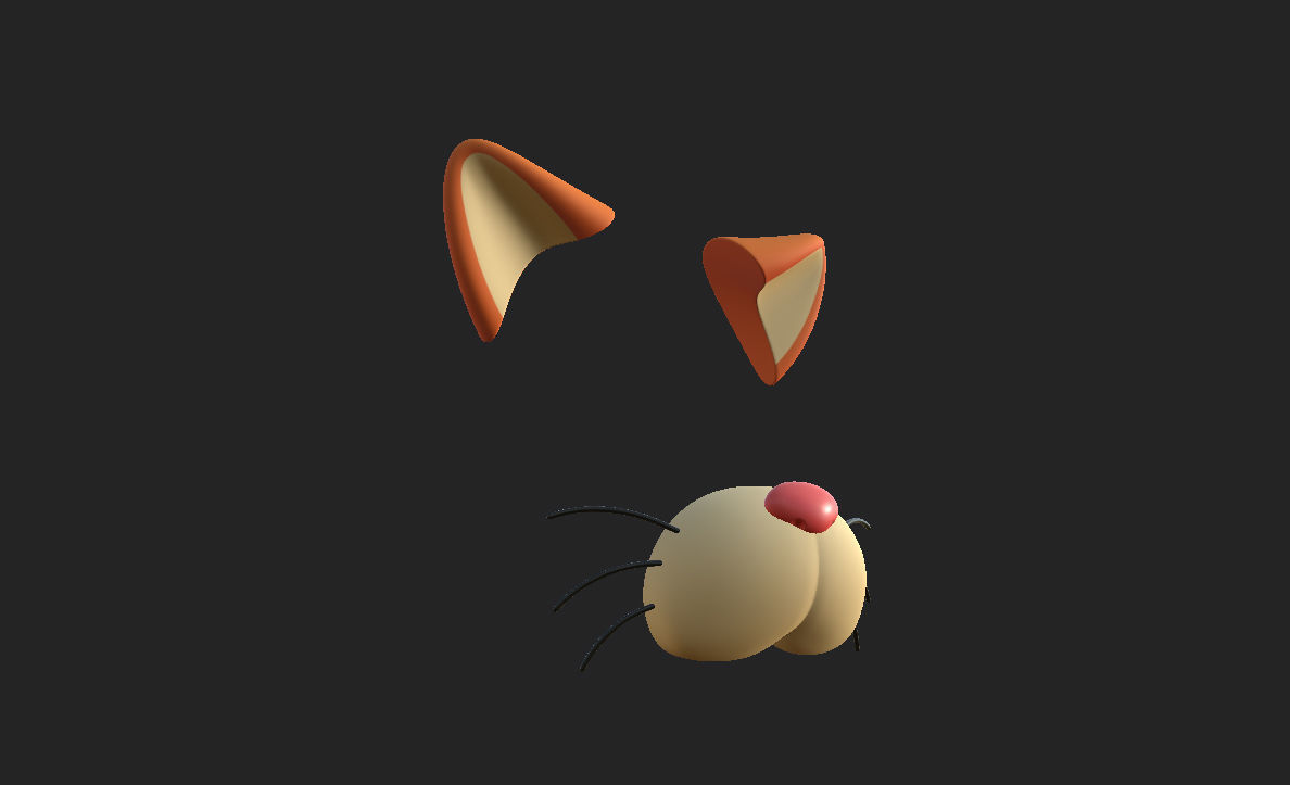 Cat Face 3D model_12
